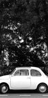 Mini Car B&w Plakat - Posterbox