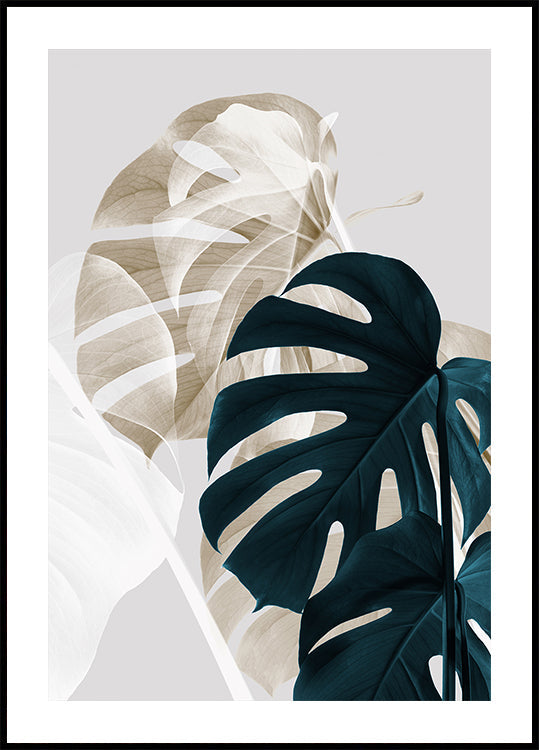 Monstera Creative 05 - Posterbox