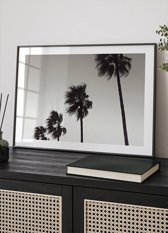 Palm_004 - Posterbox