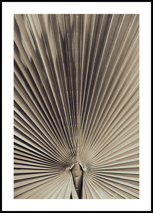 Palmblad_001 - Posterbox