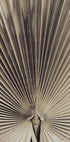 Palmblad_001 - Posterbox