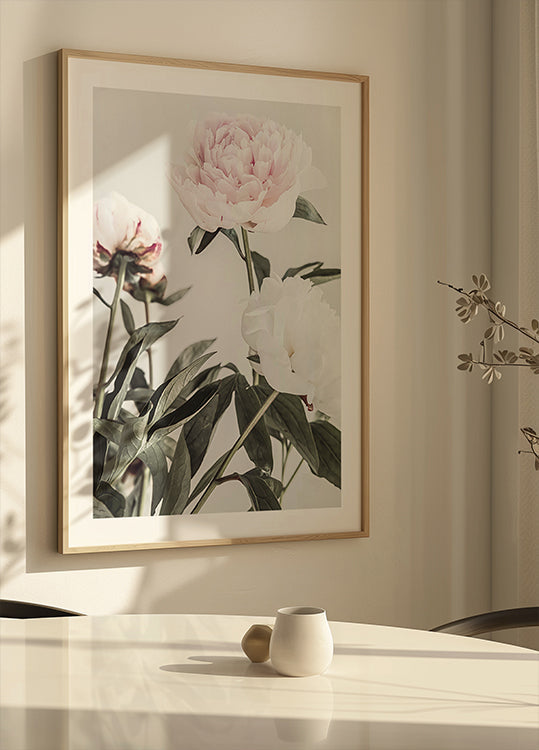 Peony 04 - Posterbox
