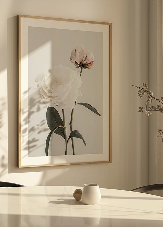 Peony 12 - Posterbox