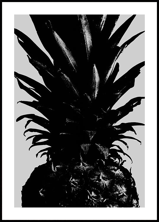 Pineapple bw - Posterbox