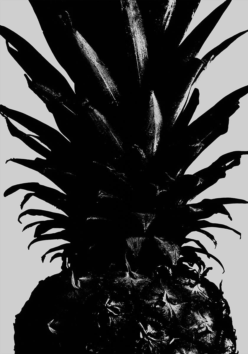 Pineapple bw - Posterbox