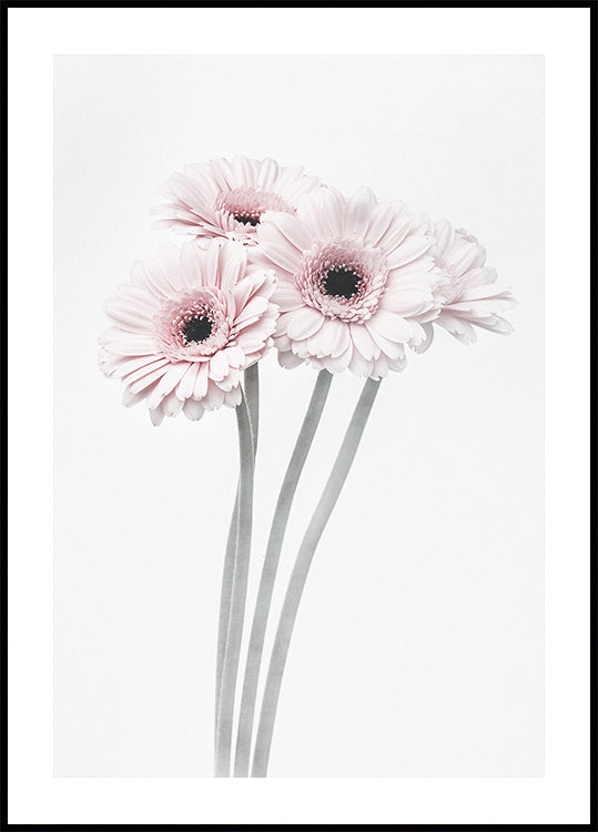 Pink Flowers  Plakat - Posterbox