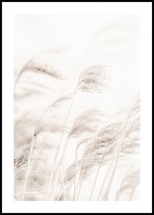 REED Plakat - Posterbox