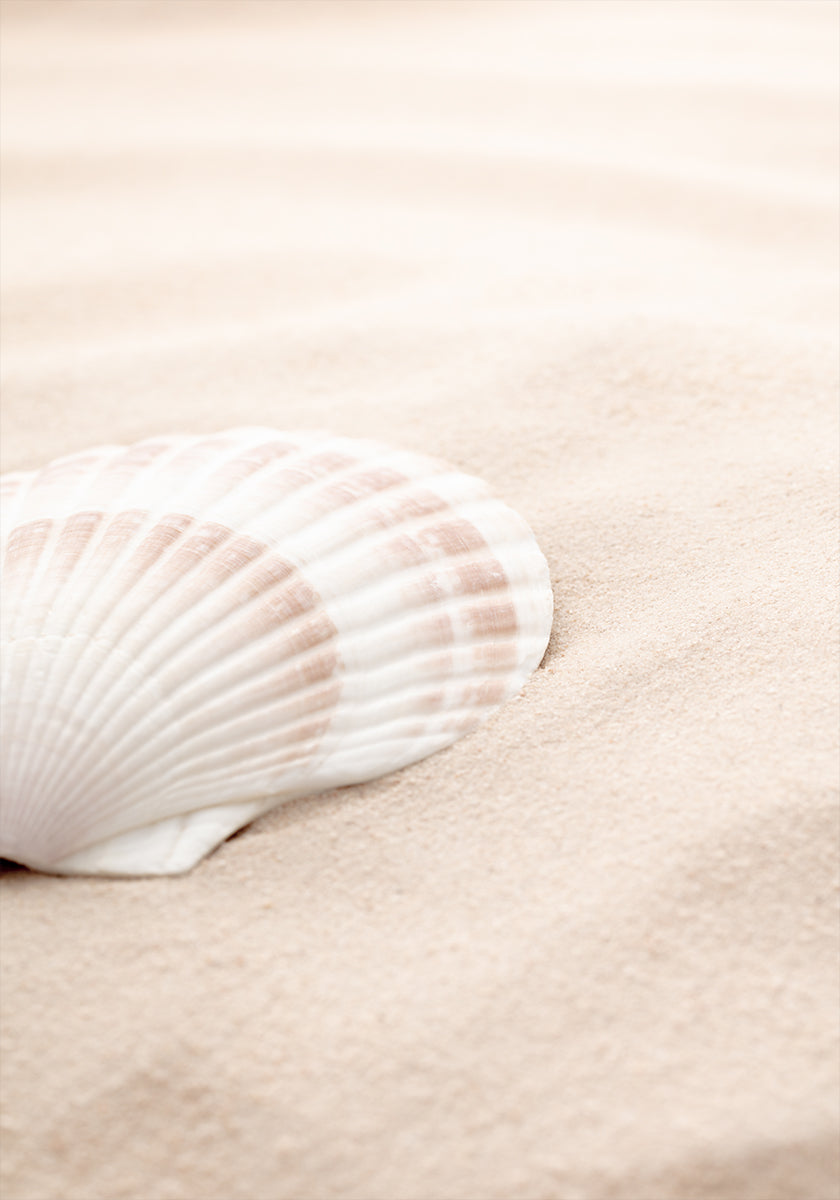 Shell_3 Plakat - Posterbox