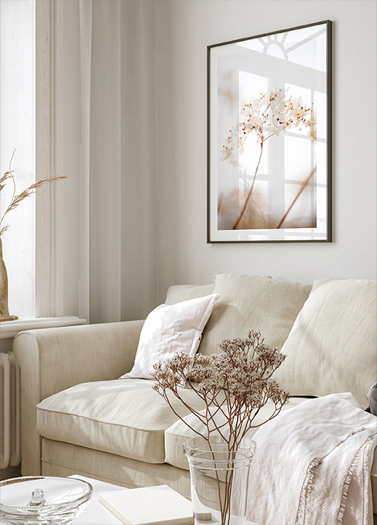 Soft dried flower_brown - Posterbox