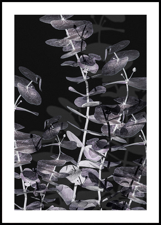 Eucalyptus Negative No.2 Plakat - Posterbox
