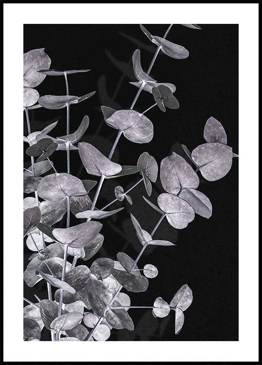 Eucalyptus Negative No.3 Plakat - Posterbox