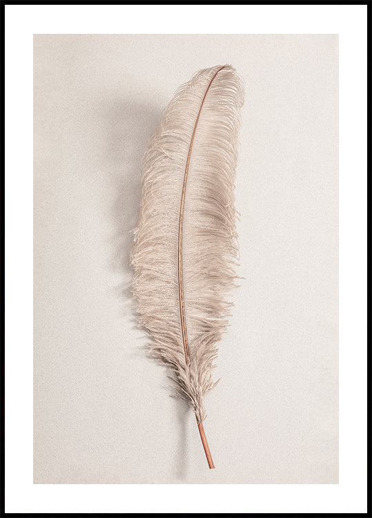Feather No.2 Plakat - Posterbox