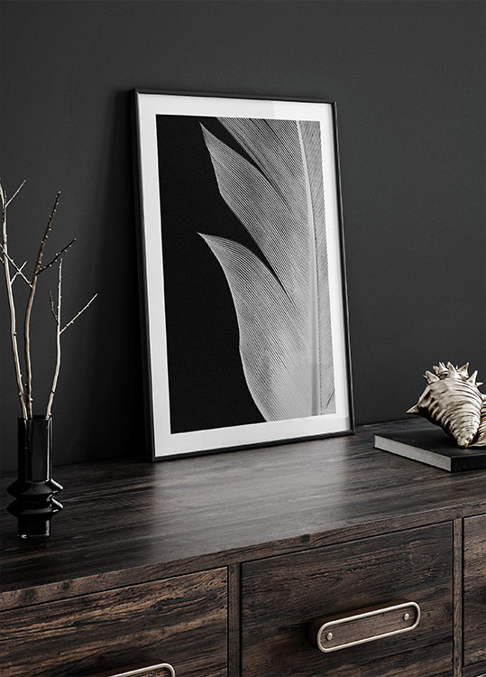 Feather No.5 Plakat - Posterbox