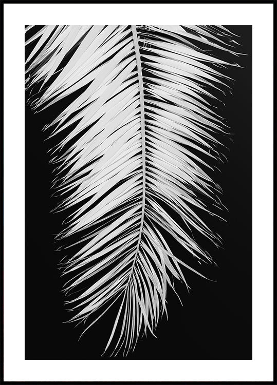 Palmblad No.4 Plakat - Posterbox