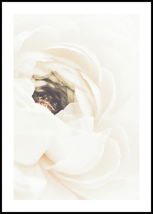 White Flower No.1 Plakat - Posterbox