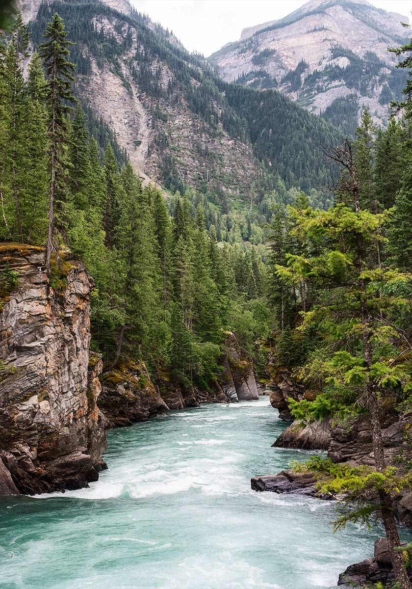 Flussschlucht-Poster