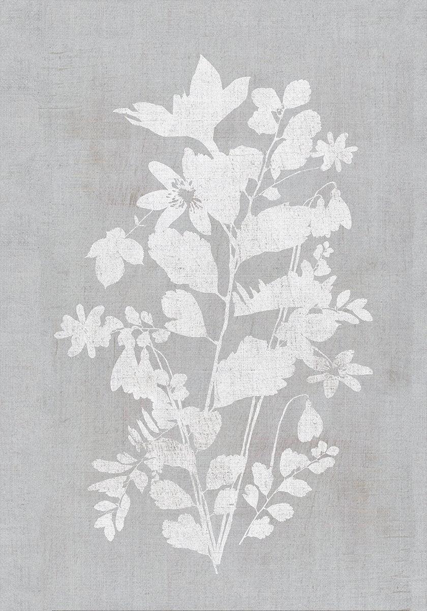 Botanische Illustration 2 Poster