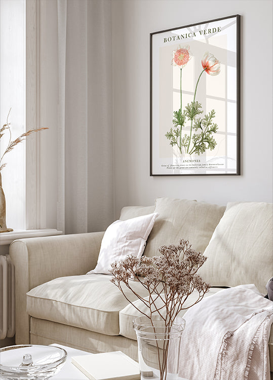 Anemonen-Poster - Posterbox.dk