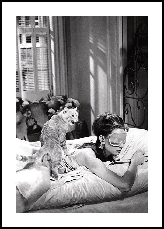 Audrey Hepburn schläft mit Katze Poster - Posterbox.dk