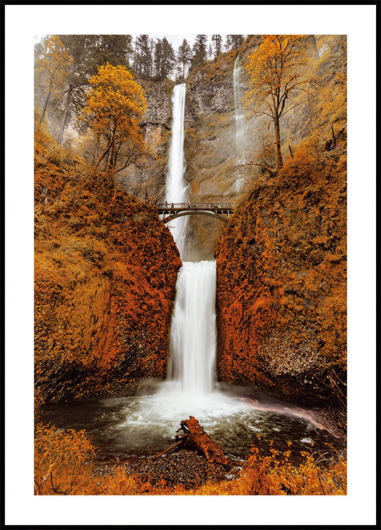 Herbstwasserfall im Wald Poster - Posterbox.dk