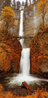 Herbstwasserfall im Wald Poster - Posterbox.dk