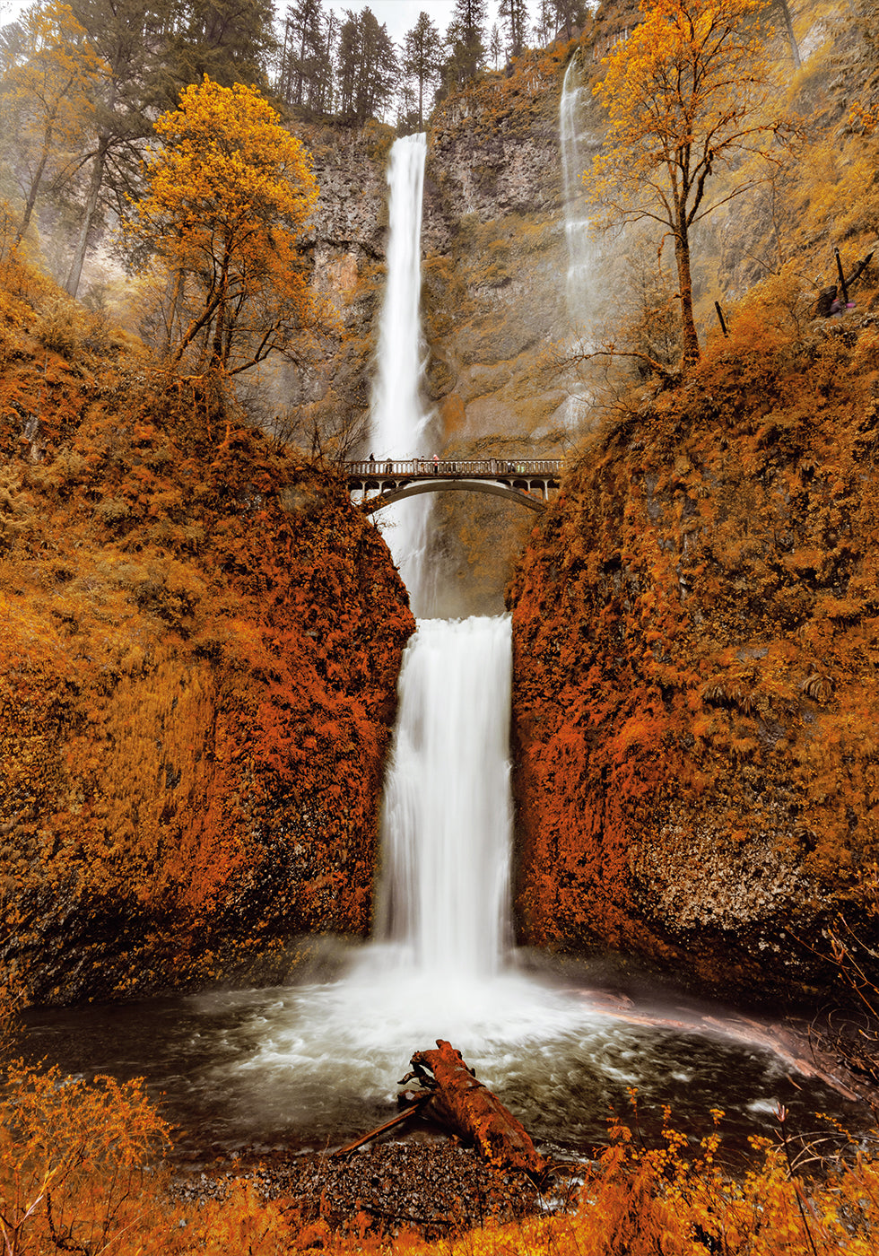 Herbstwasserfall im Wald Poster - Posterbox.dk