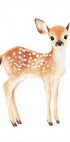 Poster „Baby Deer With Spots“ - Posterbox.dk