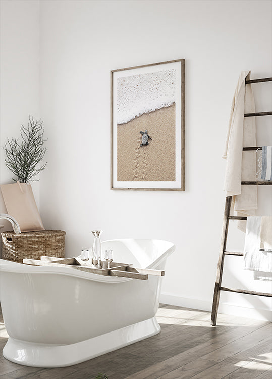 Baby-Schildkröte trifft das Meer-Poster – Posterbox.dk