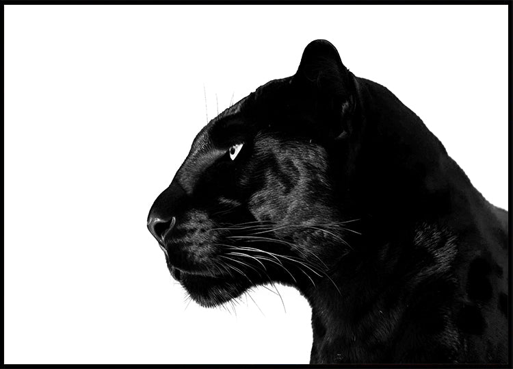 Black Panther Profile Plakat - Posterbox