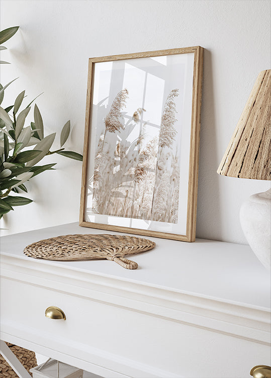 Boho Getrocknetes Schilf in der Natur Poster - Posterbox.dk