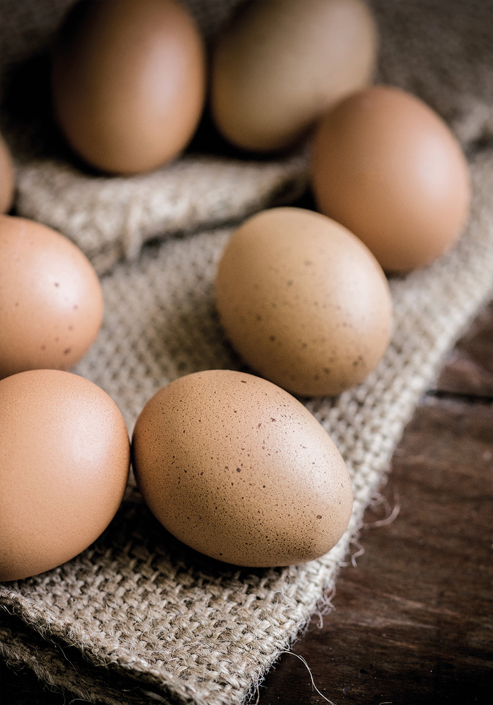 Braunes Bio-Eier-Poster - Posterbox.dk