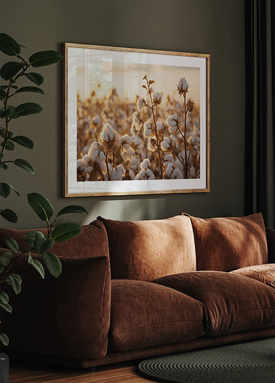 Baumwollblumen bei Sonnenuntergang Poster - Posterbox.dk