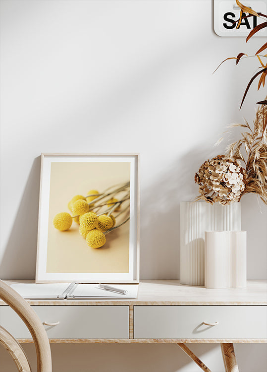 Craspedia Globosa Blumen Poster - Posterbox.dk