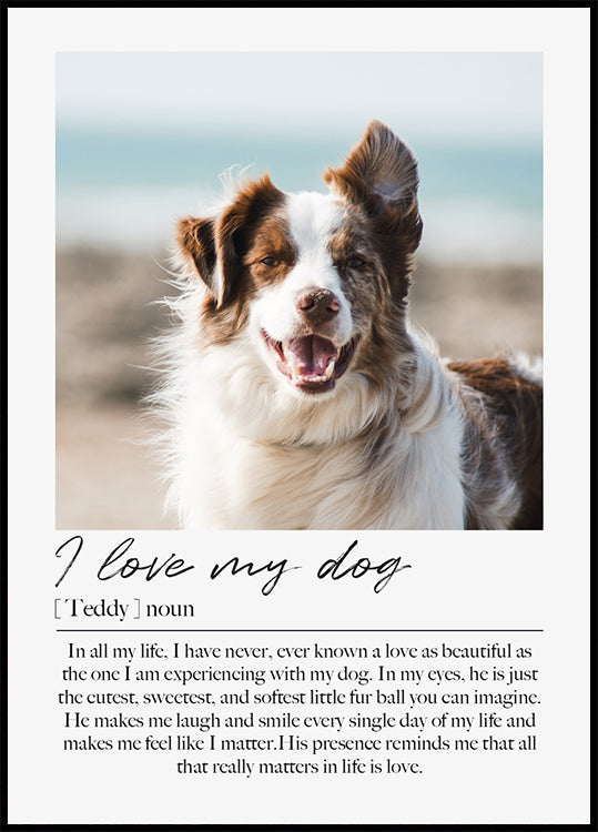 Individuelles Haustierporträt-Poster - Posterbox.dk