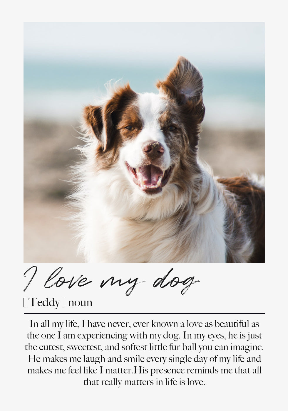 Individuelles Haustierporträt-Poster - Posterbox.dk