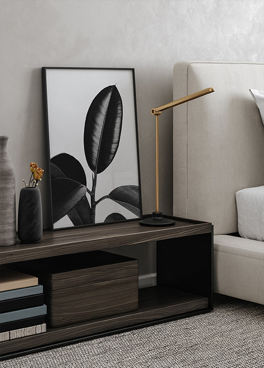 Ficusblätter in Schwarz-Weiß-Poster - Posterbox.dk