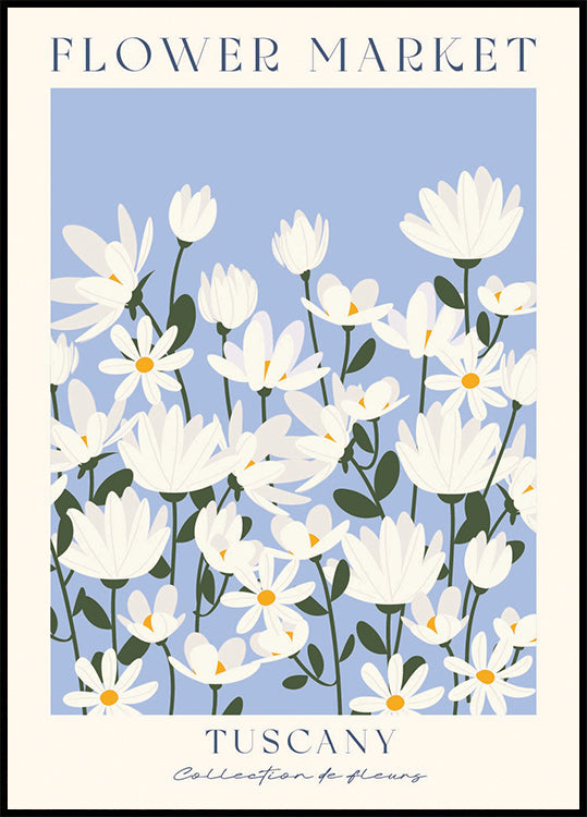 Blumenmarkt, Gänseblümchenfeld in der Toskana Poster - Posterbox.dk