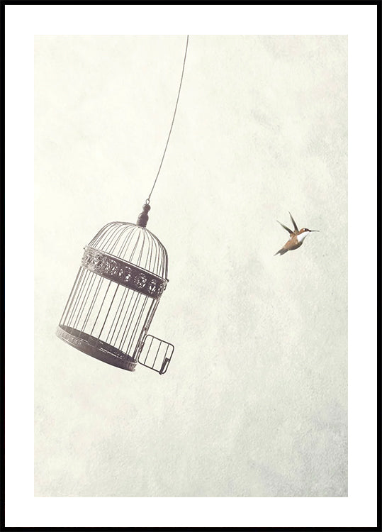 Poster „Der Freiheit entgegenfliegen“ – Posterbox.dk