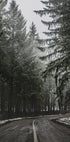 Waldstraße im Winter Poster - Posterbox.dk