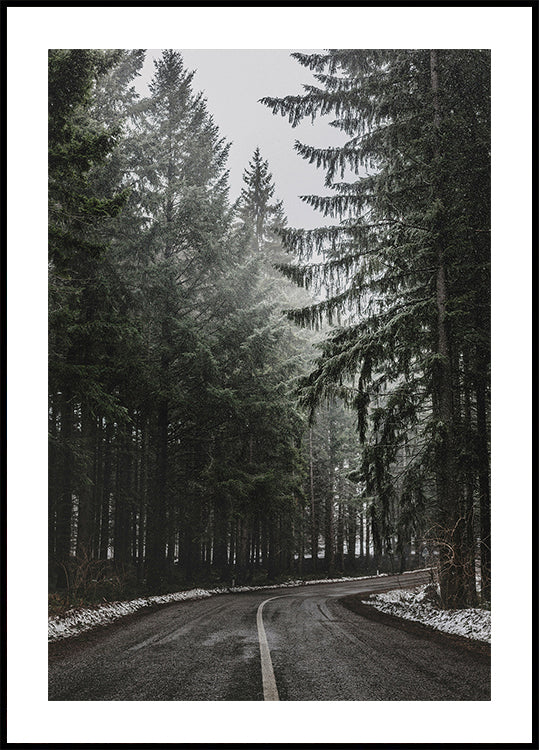 Waldstraße im Winter Poster - Posterbox.dk