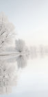 Frostiger Winterbaum Nr. 1 Poster - Posterbox.dk
