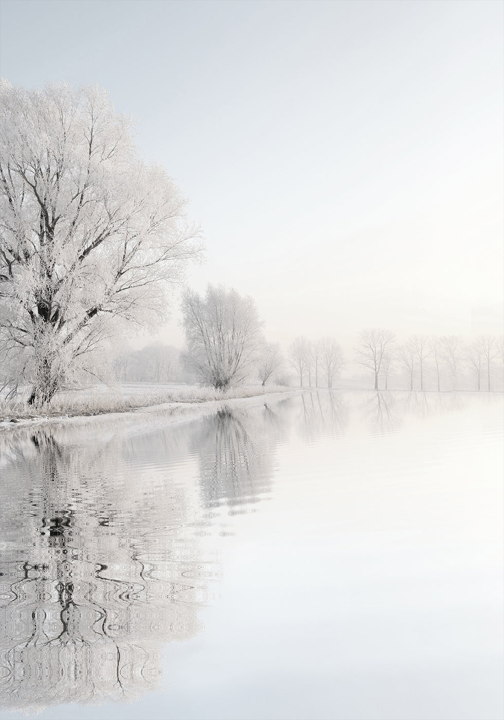 Frostiger Winterbaum Nr. 1 Poster - Posterbox.dk