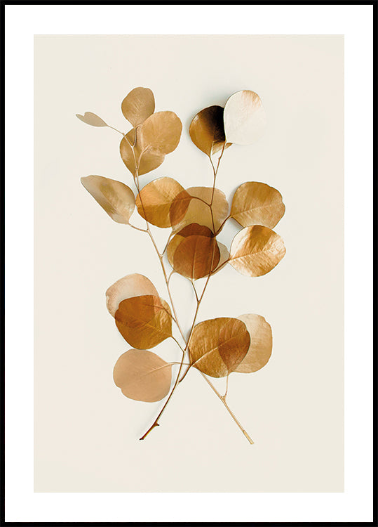 eine Nahaufnahme einer Pflanze mit vielen Blättern