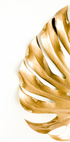 Goldenes Monstera-Blatt-Poster - Posterbox.dk