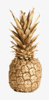 Goldenes Ananas-Poster - Posterbox.dk
