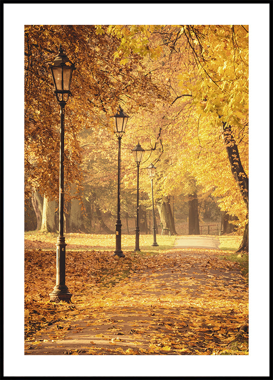 Golden Autumn Park Path Poster - Posterbox.dk