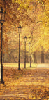 Golden Autumn Park Path Poster - Posterbox.dk