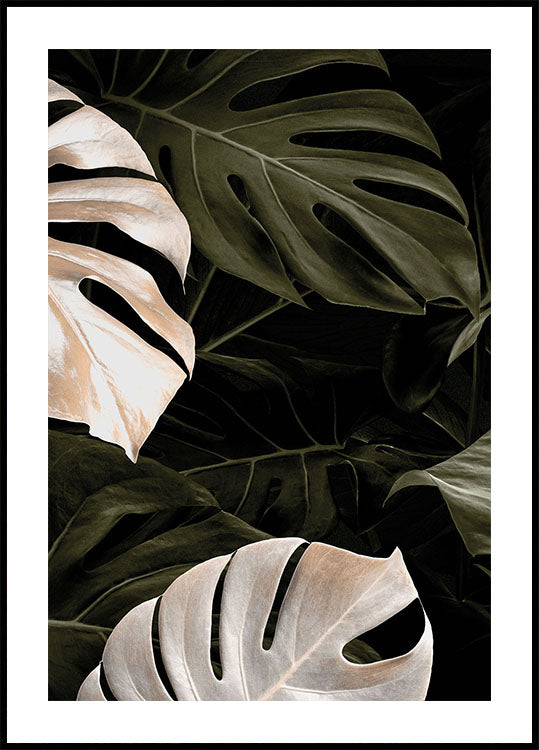 Golden Monstera №1 Poster - Posterbox.dk