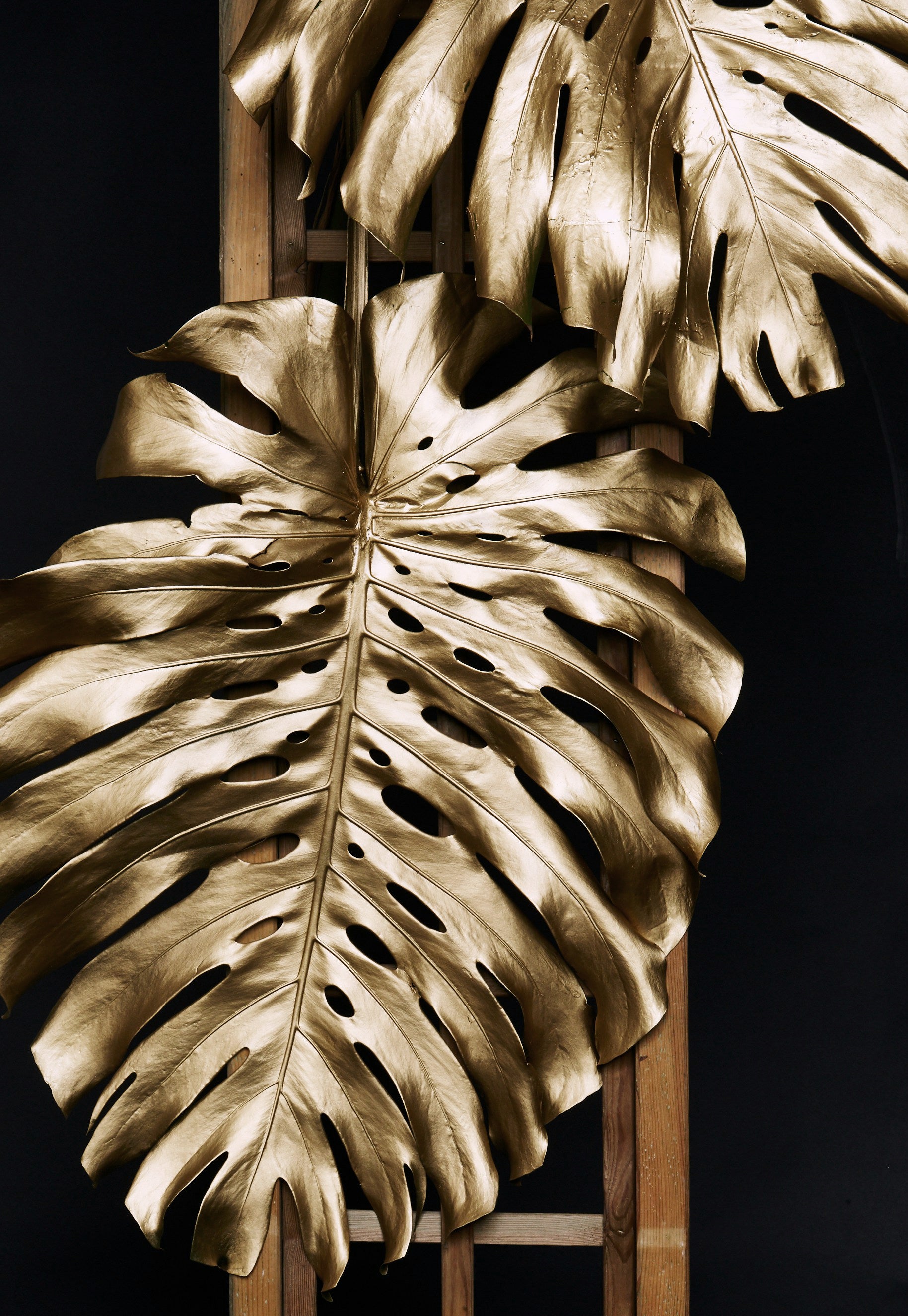 Golden Monstera №2 Poster - Posterbox.dk