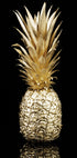 Goldene Ananas-Poster - Posterbox.dk
